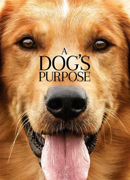A Dog's Purpose Bathing Suit Shirtless 7386
