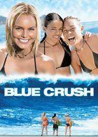 Blue Crush Bathing Suit Shirtless 7487