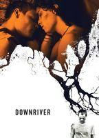 Downriver Butt Gay 8668