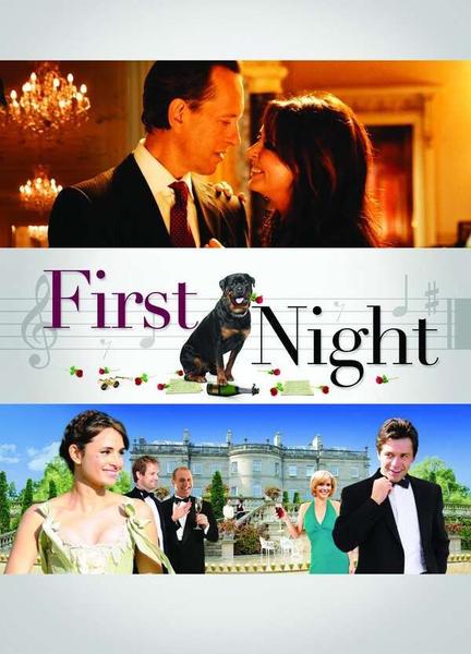 First Night Gay Shirtless 8772