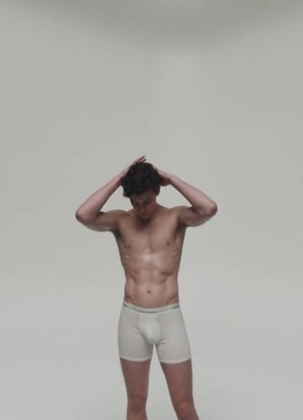 Shawn Mendes is iConicKally CALVIN Bulge Shirtless 11247