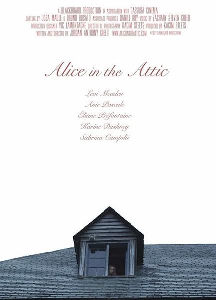 Alice in the Attic Sexy Shirtless 11292