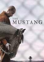 The Mustang Bulge Sexy 11676