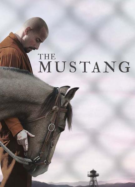 The Mustang Bulge Sexy 11676