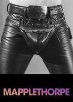 Mapplethorpe Butt Gay 11691