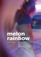 Melon Rainbow Balls Erect 14325