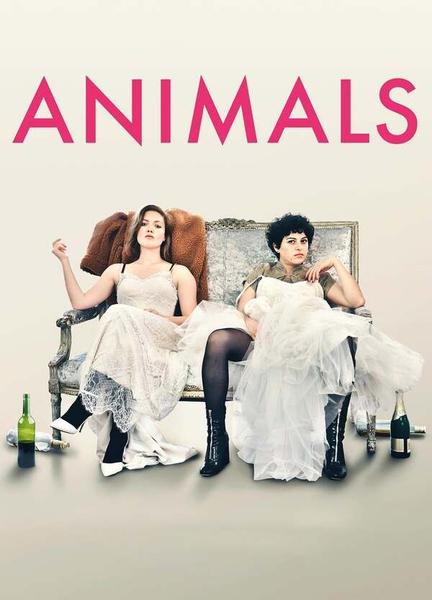 Animals Butt Straight 14493