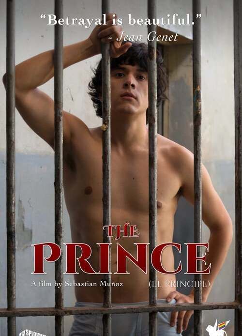 The Prince Balls Butt 15132
