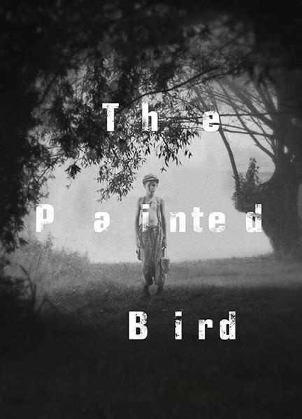 The Painted Bird Butt Straight 15323