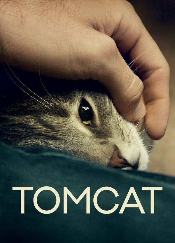 Tomcat Balls Butt 15611