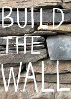 Build the Wall Balls Bulge 15614