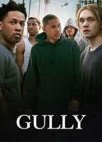Gully Shirtless 17843