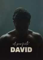 The Perfect David Shirtless Underwear 20529