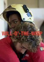 Will-o’-the-Wisp Balls Bulge 21076