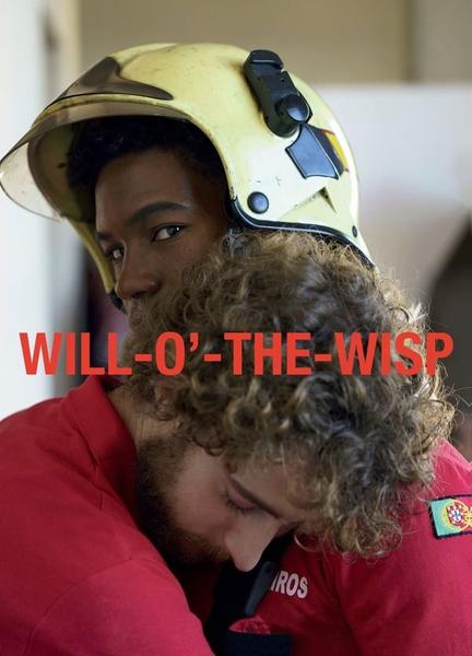 Will-o’-the-Wisp Balls Bulge 21076