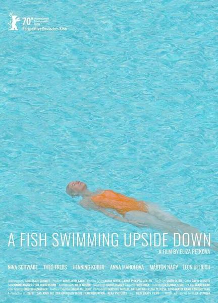A Fish Swimming Upside Down Balls Butt 21140