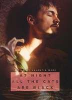 At Night All the Cats Are Black Balls Bulge 21650