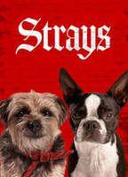 Strays Butt Sexy 21676