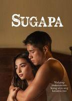 Sugapa Butt Sexy 21808