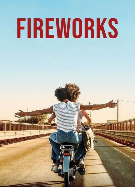 Fireworks Bathing Suit Bulge 22148