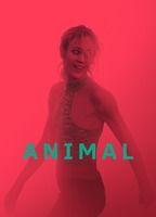 Animal Balls Penis 22344
