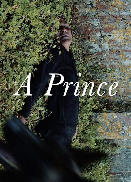 A Prince Balls Butt 22940