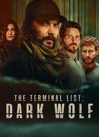 The Terminal List: Dark Wolf Shirtless 22983