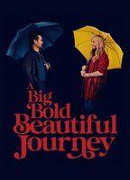 A Big Bold Beautiful Journey Shirtless 23244