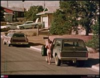Dennis Hopper in The American Dreamer