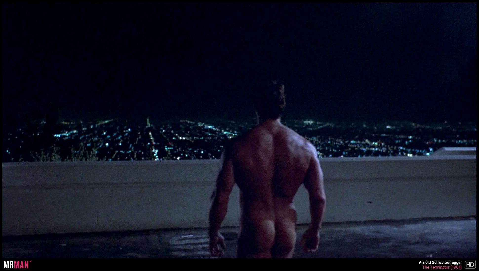 Arnold Schwarzenegger in The Terminator
