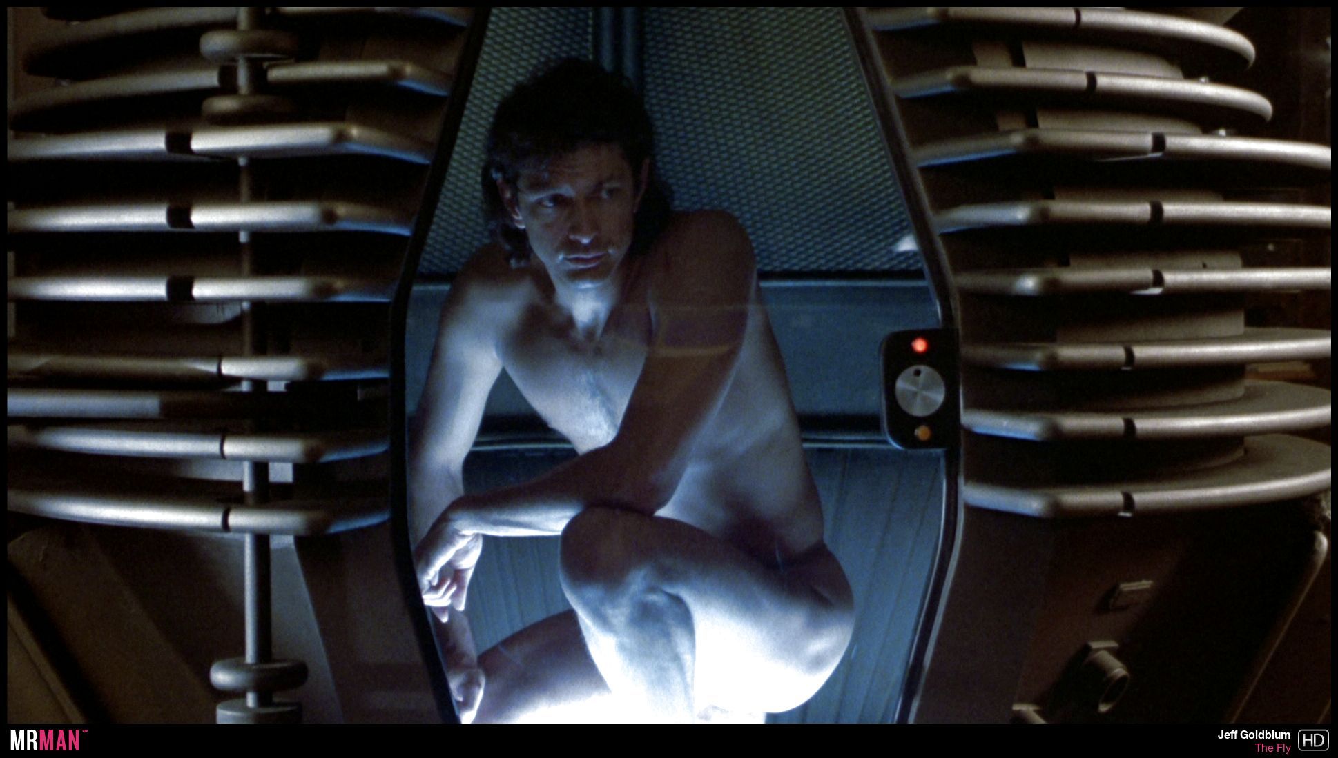 Jeff Goldblum in The Fly