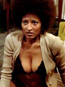 Mr. Skin's Dairy Dozen