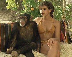 Ape Appeal