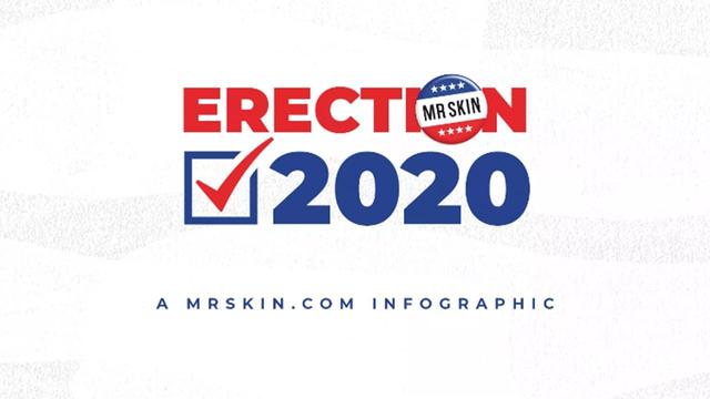 Mr. Skin's Erection 2020: Celeb Searches by State