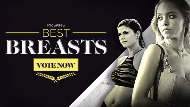 Who Has the Best Breasts at MrSkin? (Voting Closed)