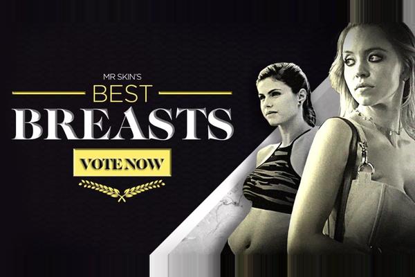 Who Has the Best Breasts at MrSkin? (Voting Closed)