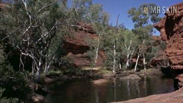 Jenny Agutter in Walkabout (1971) Breasts Bush Breasts Bush 178925
