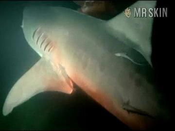 Priscilla Barnes in Tintorera (1977) Breasts Breasts 191813