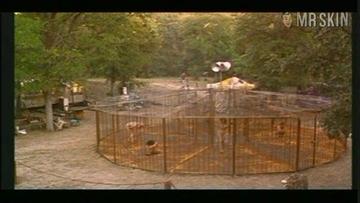 Brandy Little in Learning Curve (1998) Breasts Butt Bush Breasts Bush 187121