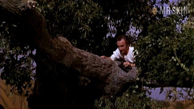 Joan Sims in Carry On Up the Jungle (1970) Breasts Breasts 231086