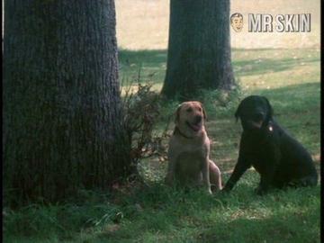 Simone Griffeth in Hot Target (1985) Breasts Breasts Bush 177310