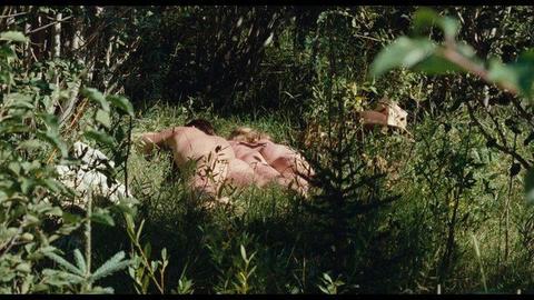 Susan Traylor Nude in A River Runs Through It. Butt. 205372