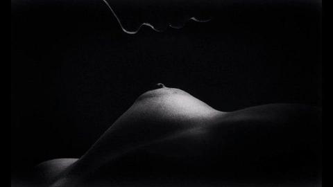 Tracy Camilla Johns Naked in She's Gotta Have It. Breasts, butt, left breast. 174481