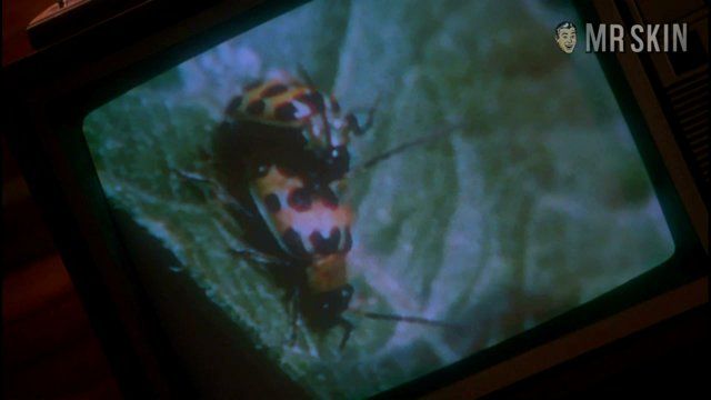 Corinna Laszlo in Natural Born Killers (1994) Breasts Butt Underwear Breasts Butt 224672