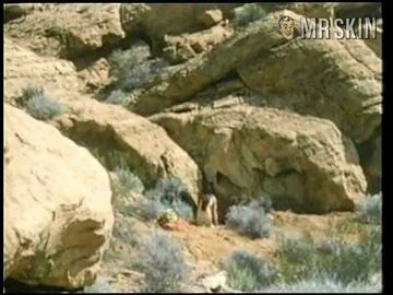 Stefanie Powers in Little Moon and Jud McGraw (1976) Butt Butt Underwear 227724