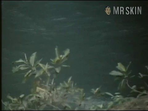 Hottest Shannon Tweed Scene in The Firing Line. Sexy, breasts. 178340