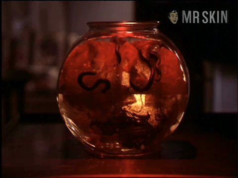 Katherine Heigl in Bug Buster (1998) Sexy Body Double Sexy 205987