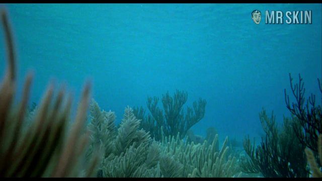 Against All Odds's Sexiest Scenes with Rachel Ward. Sexy, bush, butt. 173736