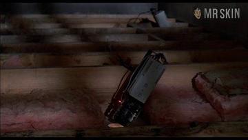 Lisa Welch in Revenge of the Nerds (1984) Breasts Bush Breasts Bush 191548