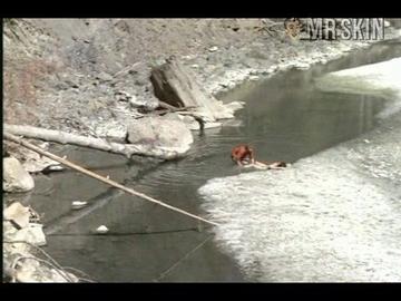 Raven De La Croix in Up! (1976) Breasts Bush Breasts Bush 187155